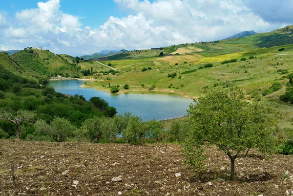 tenute zagari azienda